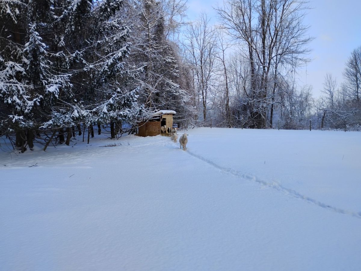 Saying goodbye to&nbsp;2025